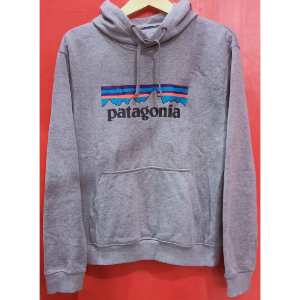 Hoodie Patagonia