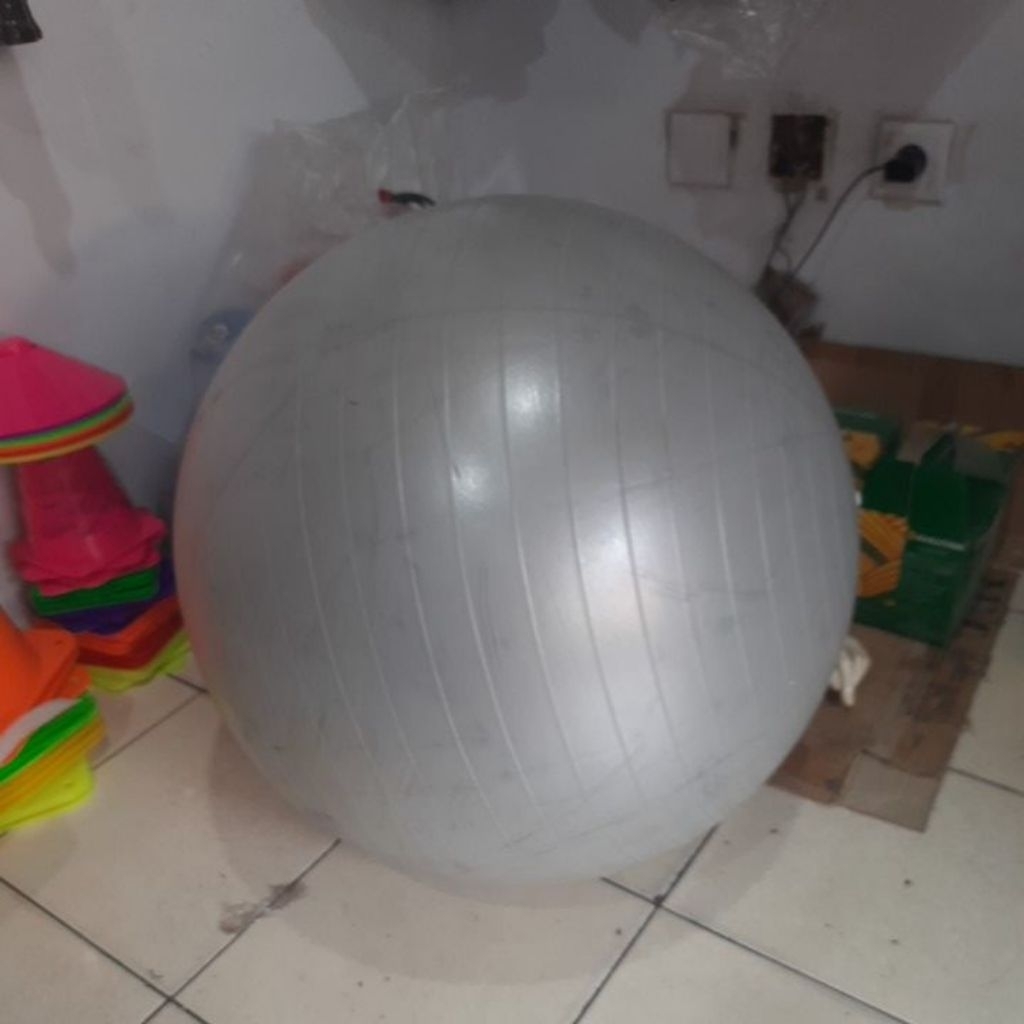 Bola Gym / Gym Ball (Swiss Ball / Fitness Ball)