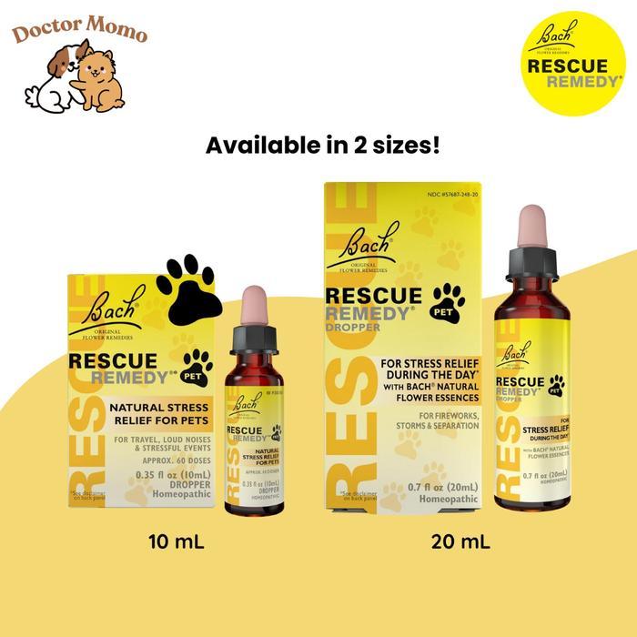 Obat Penenang Stres untuk Anjing dan Kucing - Mengatasi Kecemasan Hewan Peliharaan