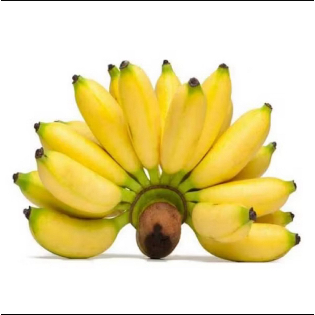 

pisang,muli cau muli 1 sisir