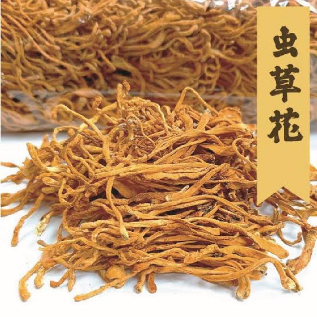 

Chong Cao Hua/Cordyceps militaris/Bunga cordyceps