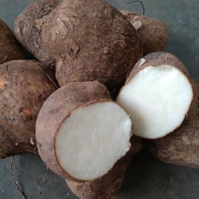 

Uwi Tuban 1kg Segar Fresh | Uwi Manis | Uwi talas | Talas manis