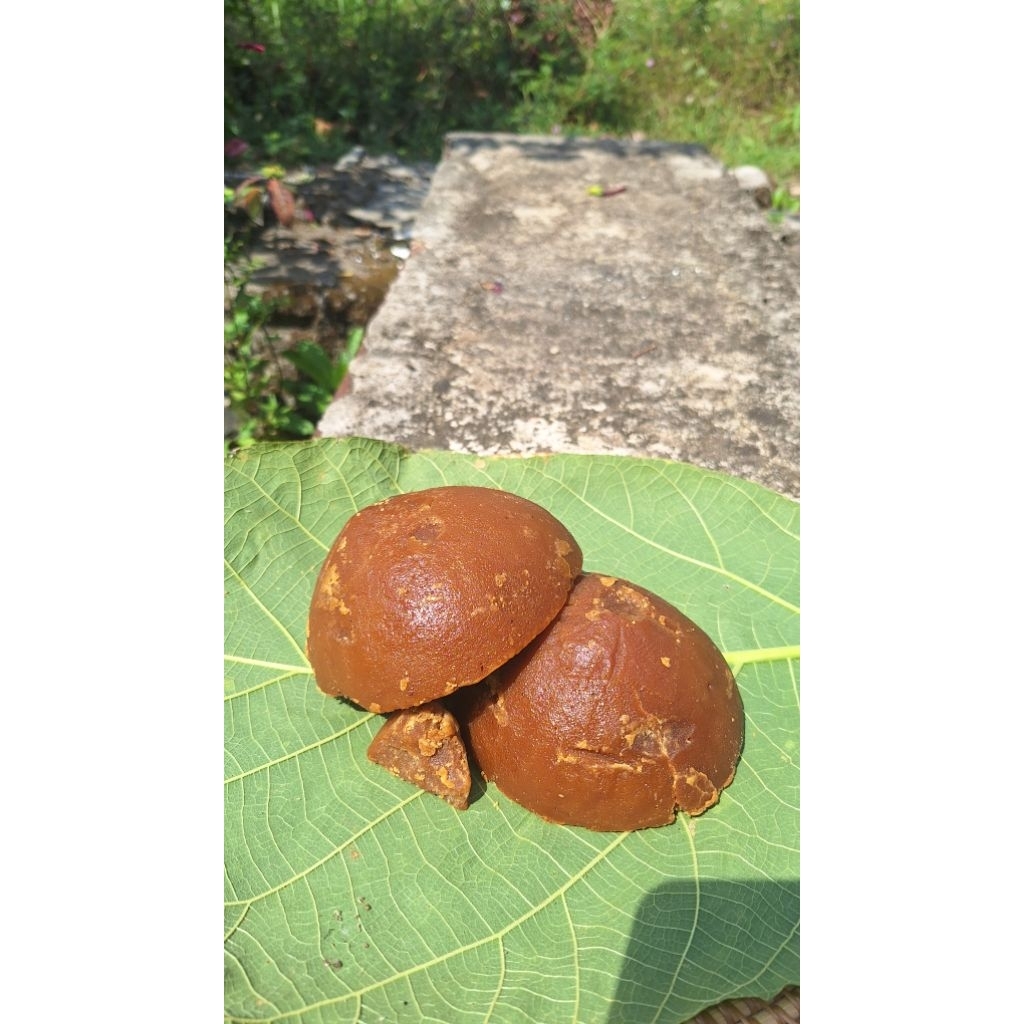 

Gula Merah Asli Tulungagung