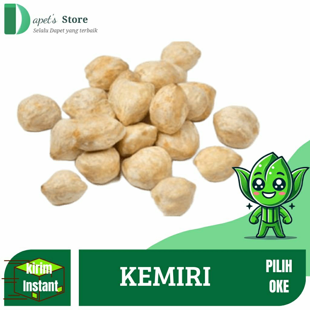 

Kemiri Bulat Bagus Kemiri Bulat Pilihan Terbaik Kemiri Good Quality - Dapet'S Store