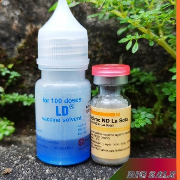 Medivac ND Lasota Dosis 100 Ekor