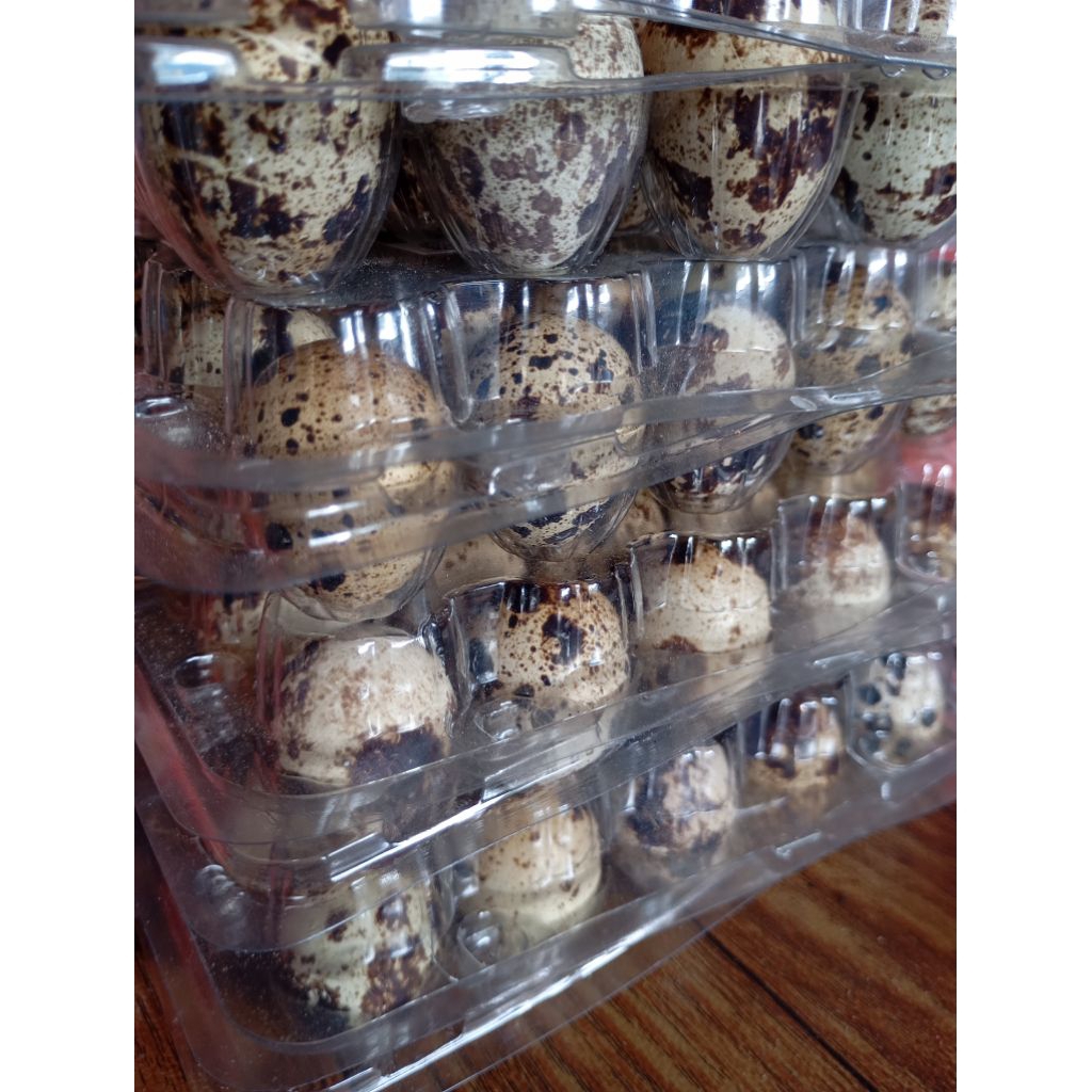 telur puyuh mentah satu pack mika isi 20 (INSTAN ONLY)