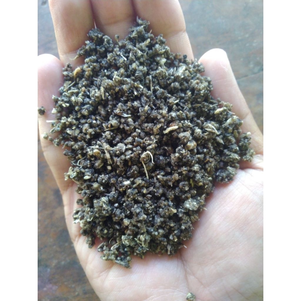 

KARAK TIWUL NASI SINGKONG NASI KETELA