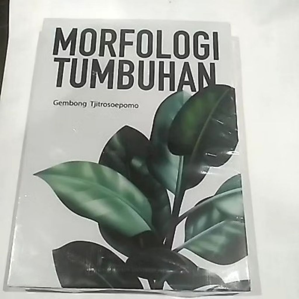 MORFOLOGI TUMBUHAN