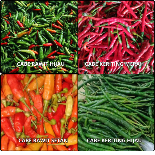

cabai rawit, rawit hijau, cabai merah, cabai hijau 100g