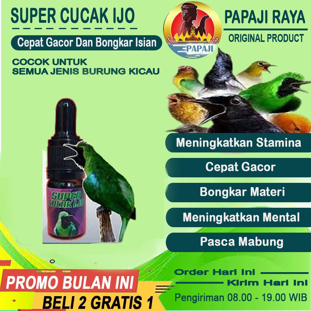 VITAMIN CUCAK IJO PENGGACOR & LOMBA BURUNG SUPER CUCAK IJO TRUCUK PLECI KOLIBRI CUCAK ROWO