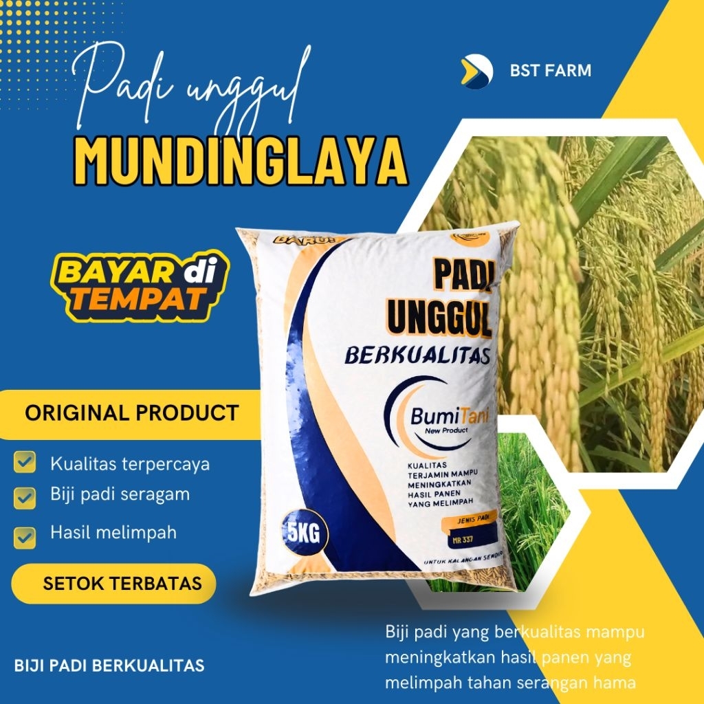 Benih Padi Unggul Munding Laya kemasan 5 kg