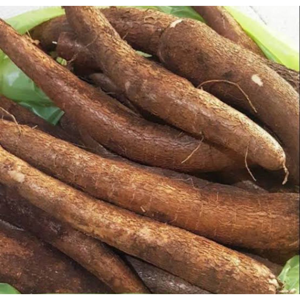 

singkong mentega 1kg langsung di ambil dari ladang masih segar dan fres