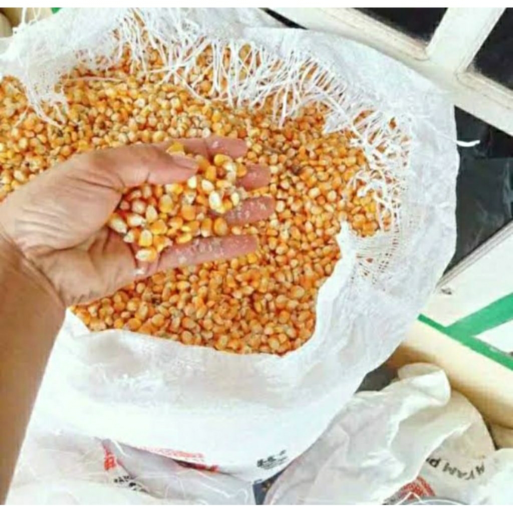 

jagung pipil super 500 gram
