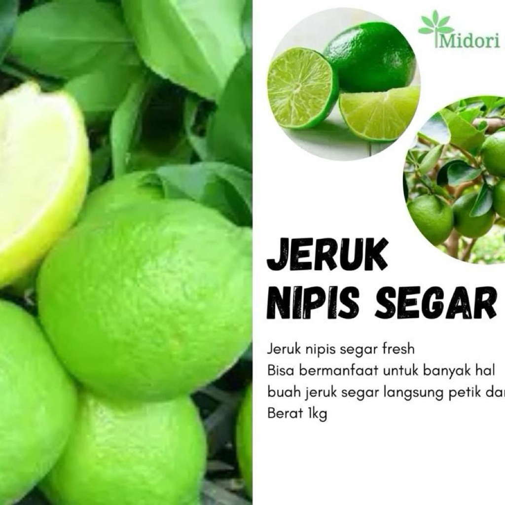 

1 kg jeruk nipis segar