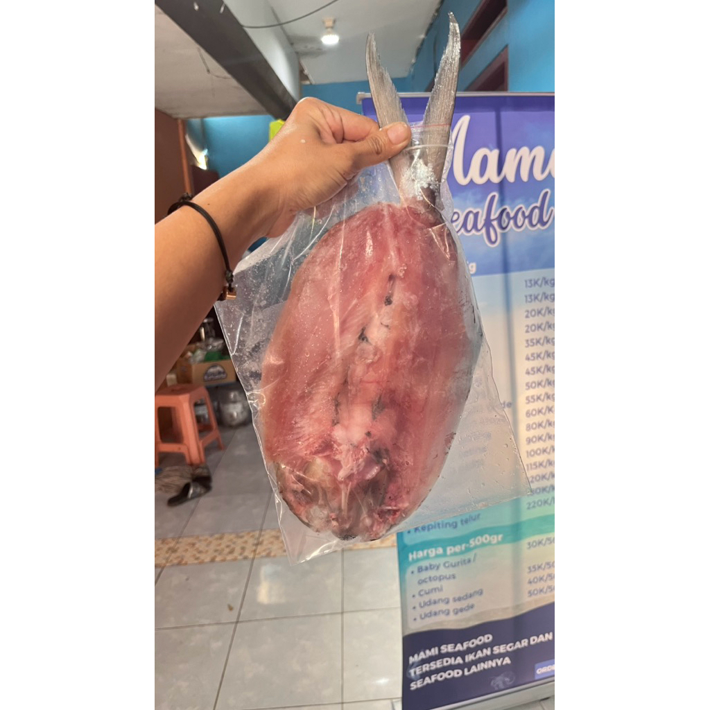 

Bandeng Tanpa Duri / Batari 1 ekor Besar 500gr