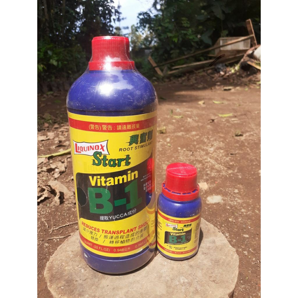 PUPUK CAIR B1 THAILAND 100% ORI - VITAMIN TANAMAN B1 BIRU - PUPUK CAIR ANTI STRESS