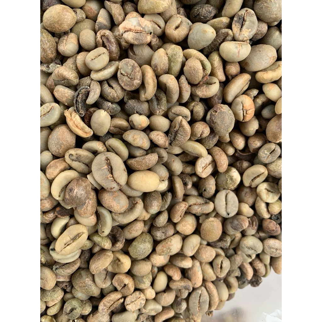 

biji kopi robusta 1 Kg Sumatera / green bean / kering
