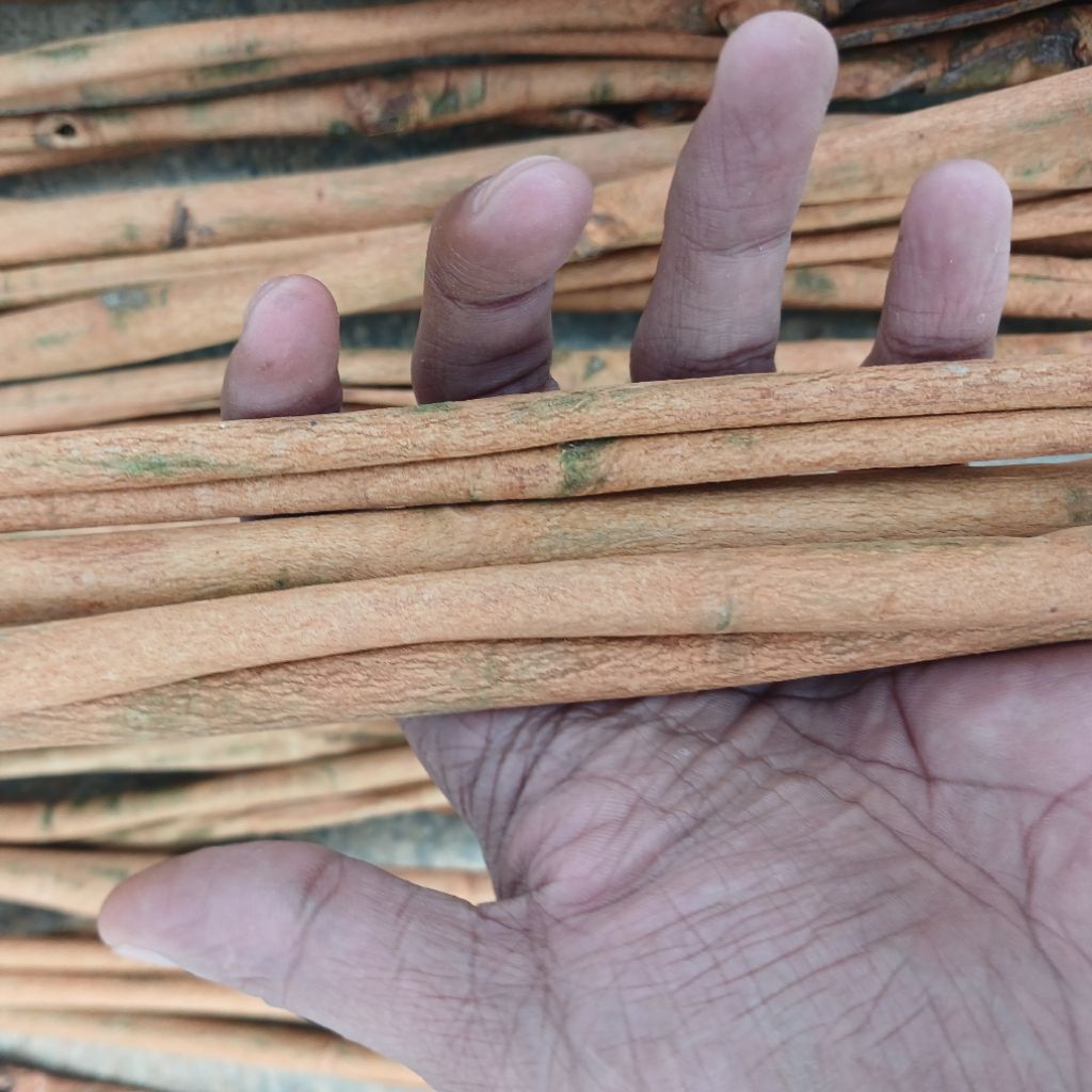 

Kayu Manis 1Kg 500gr Asli 100% Bersih Rempah Berkualitas