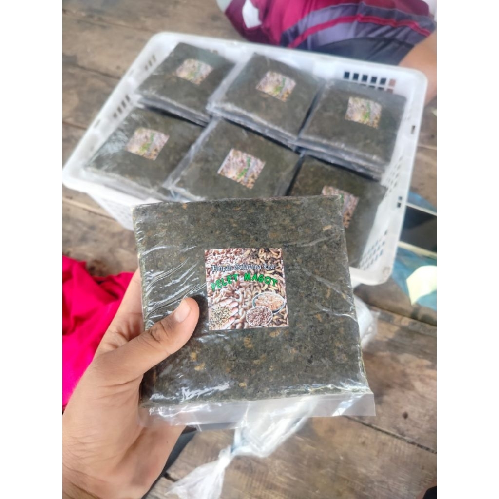 pelet magot mix telor biawak