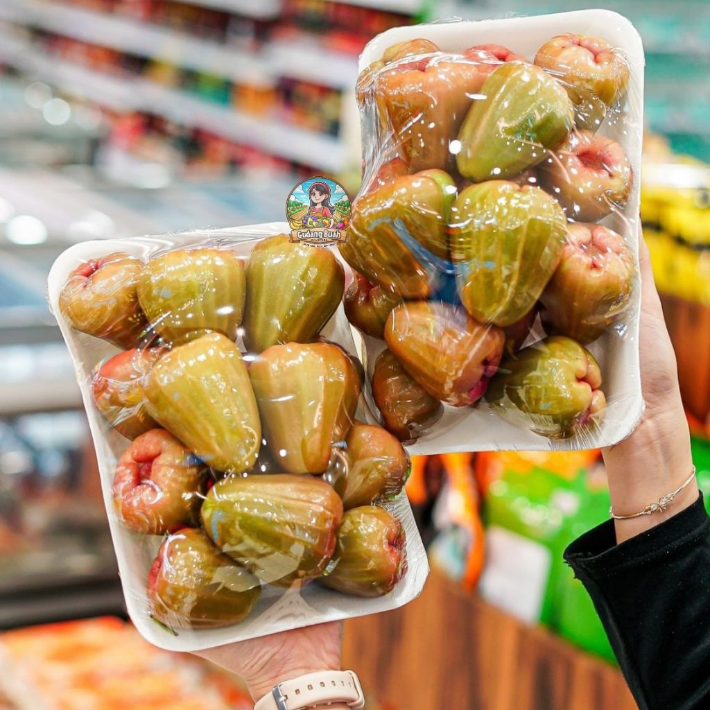 

Buah Jambu Air Cingcalo / Jambu Citra Manis 500GRAM - GUDANGBUAHNUSANTARA