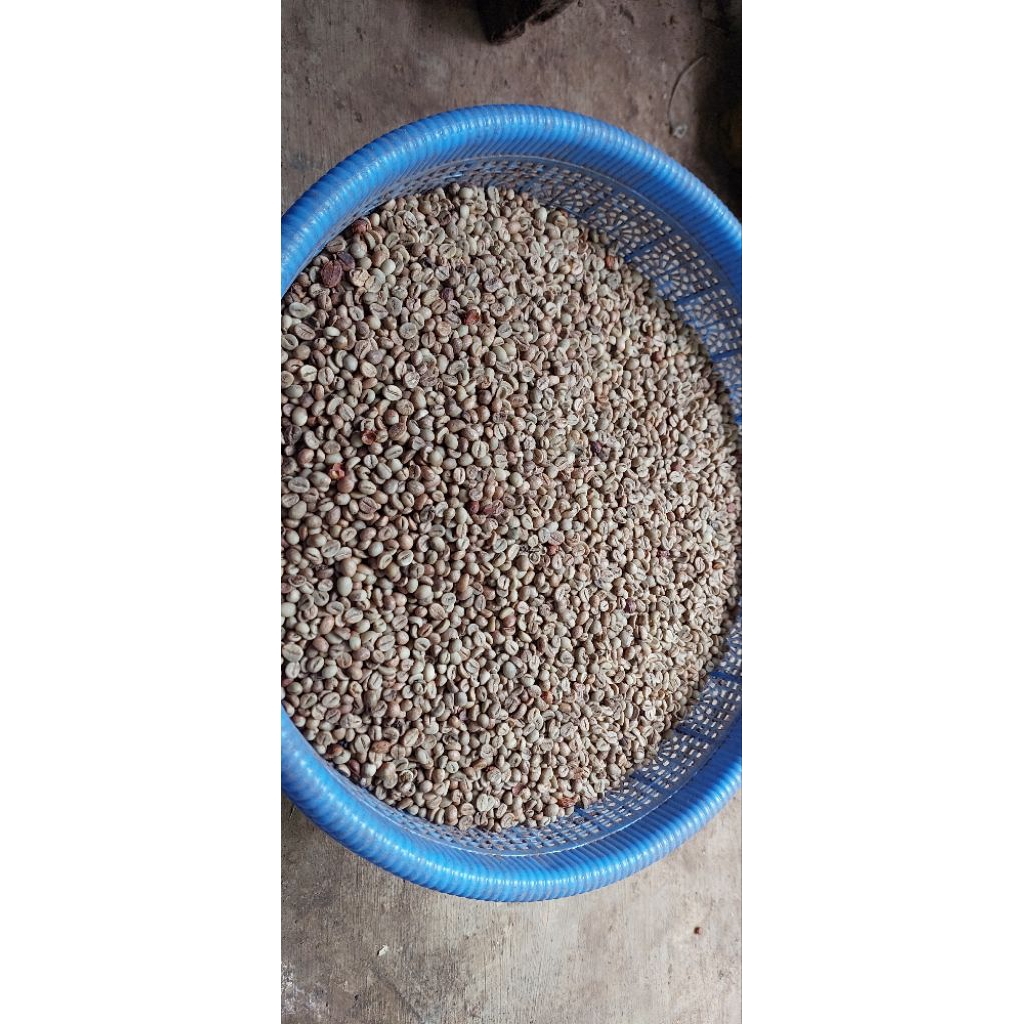 

Green Bean Robusta Honey Fine Robusta