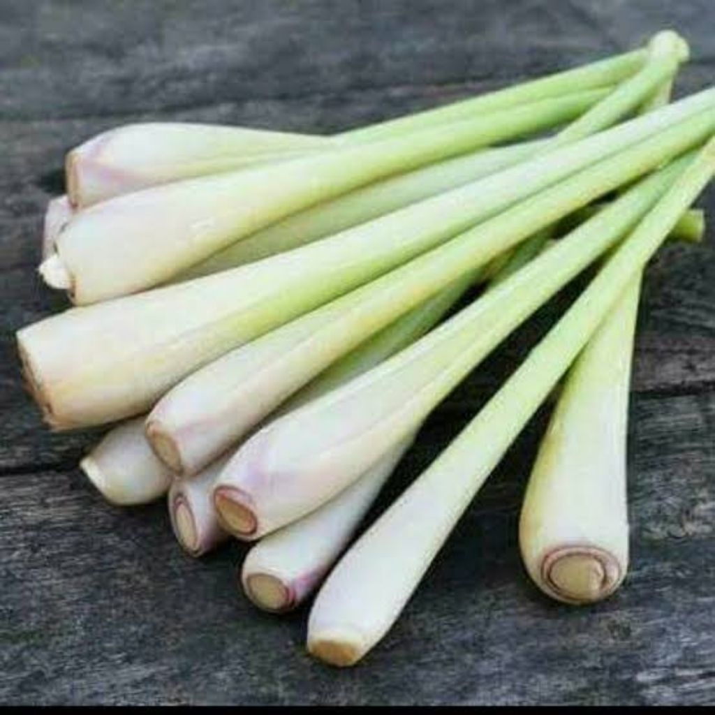 

Sereh/Serai Pilihan Fresh 1 Kg