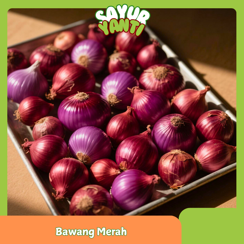 

Bawang Merah Segar Premium - Sayur yanti