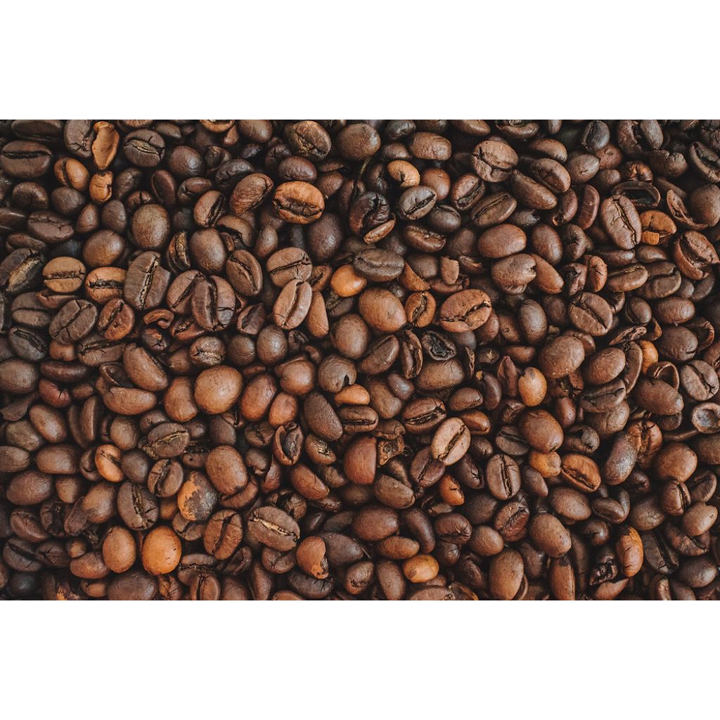 

BIJI KOPI ROBUSTA KERING