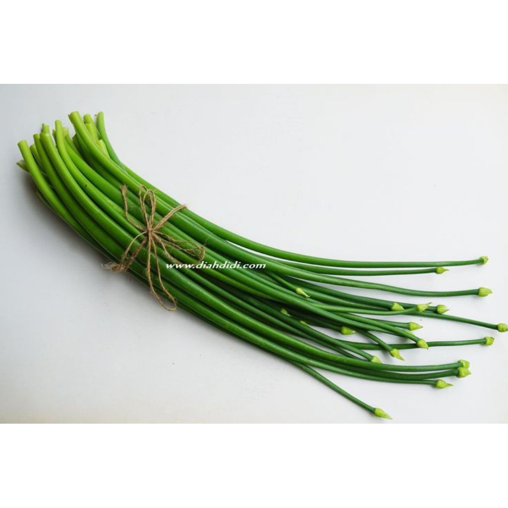 

Kucai / Bawang Kucai 200gr/ Bawang Daun / Chives Segar - Sayuran Fresh untuk Masakan Anda