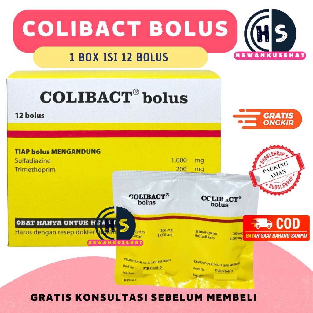 COLIBACT BOLUS 1 BOX isi 12 BOLUS