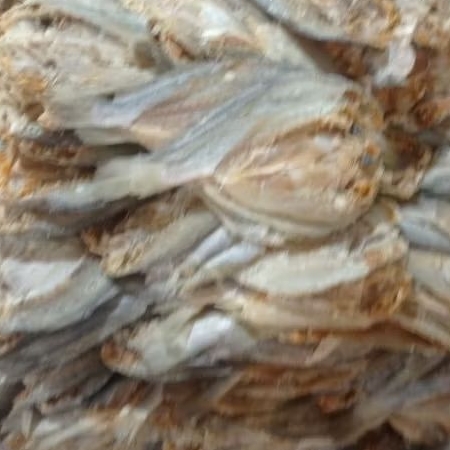 

Ikan Asin Kepala Batu Belah 1KG - Selera Raso