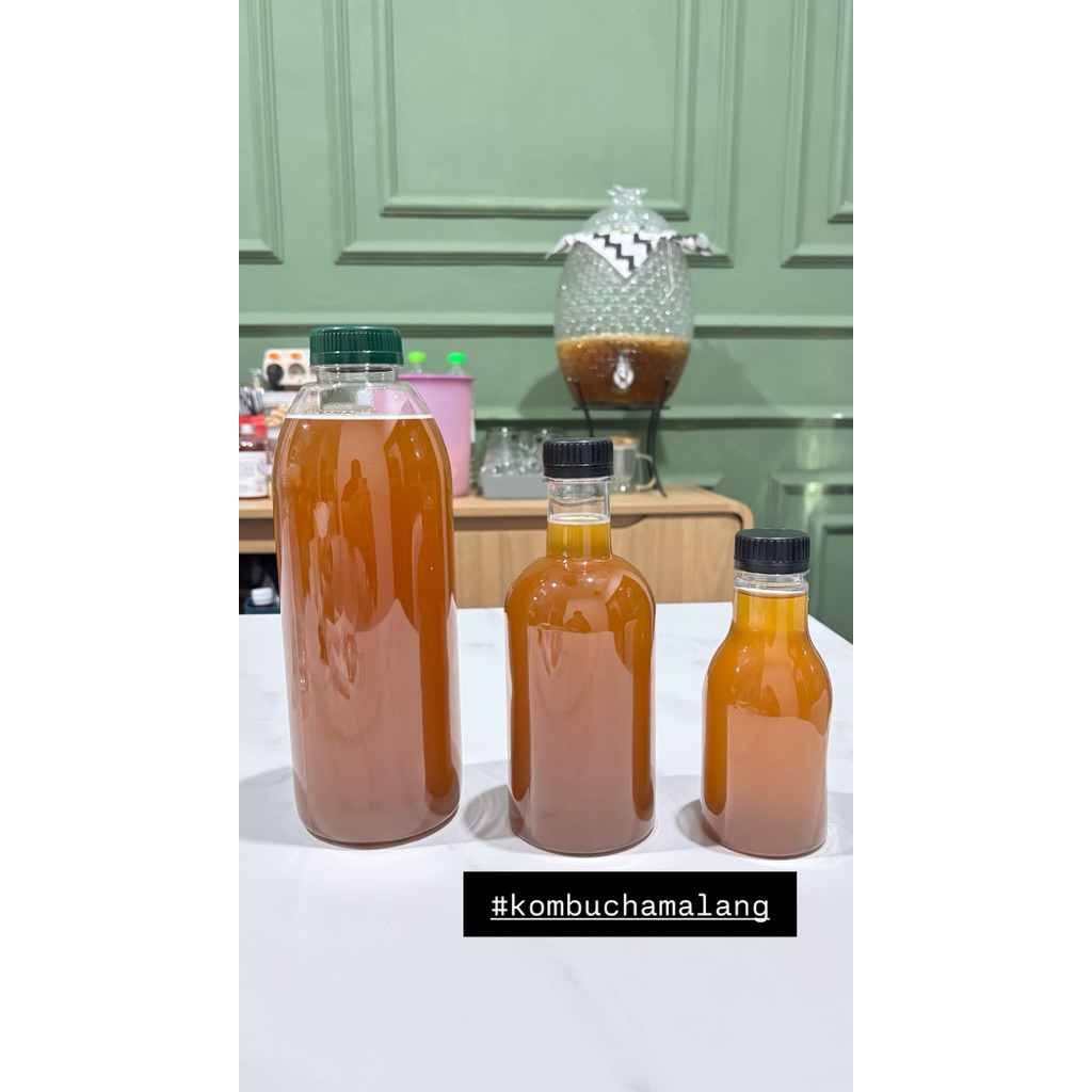 

kombucha teh hijau minuman probiotik fermentasi teh hijau dan gula