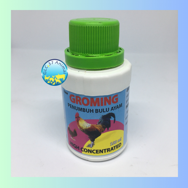 GROMING PENUMBUH BULU AYAM MEMPERCEPAT PERTUMBUHAN BULU AYAM YANG RONTOK MENGKILAPKAN BULU AYAM