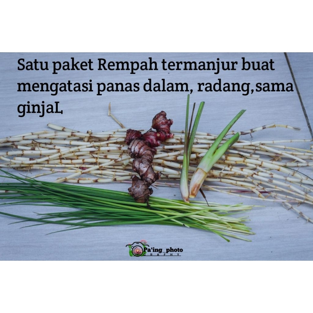 

1 paket herbal pilihan, langsung petik dari alam