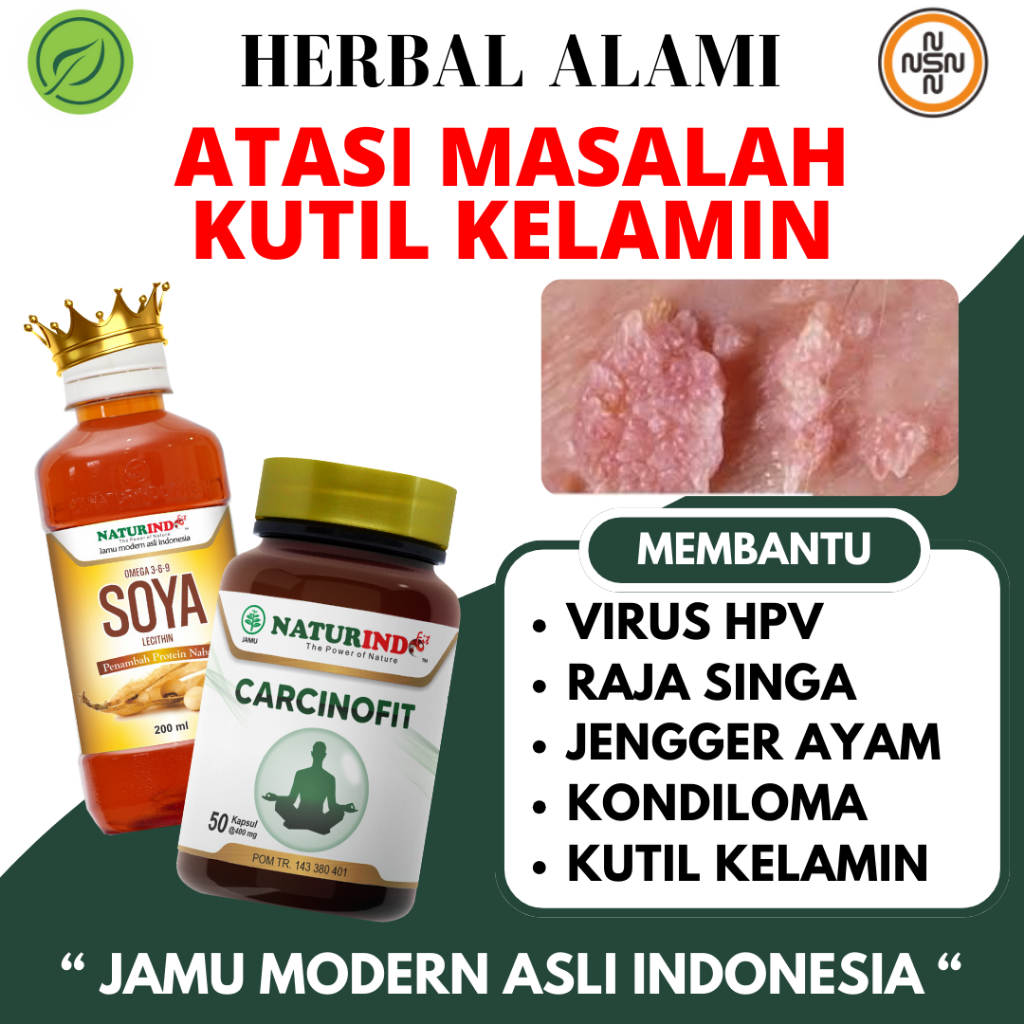 Obat Kutil Kelamin Pria Sipilis Penghilang Kutil Kelamin Wanita Perontok Kutil Paling Ampuh Gatal