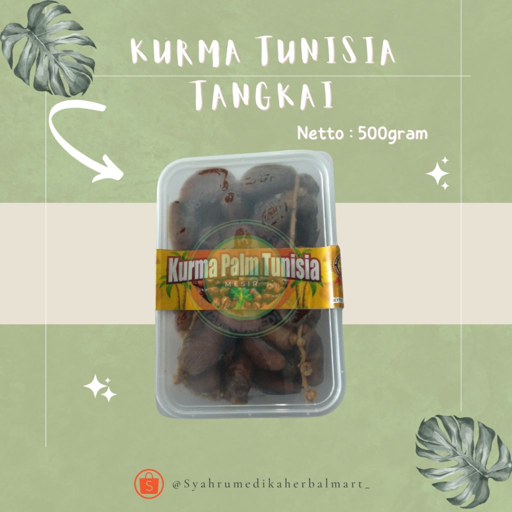 

KURMA PALM TUNISIA TANGKAI