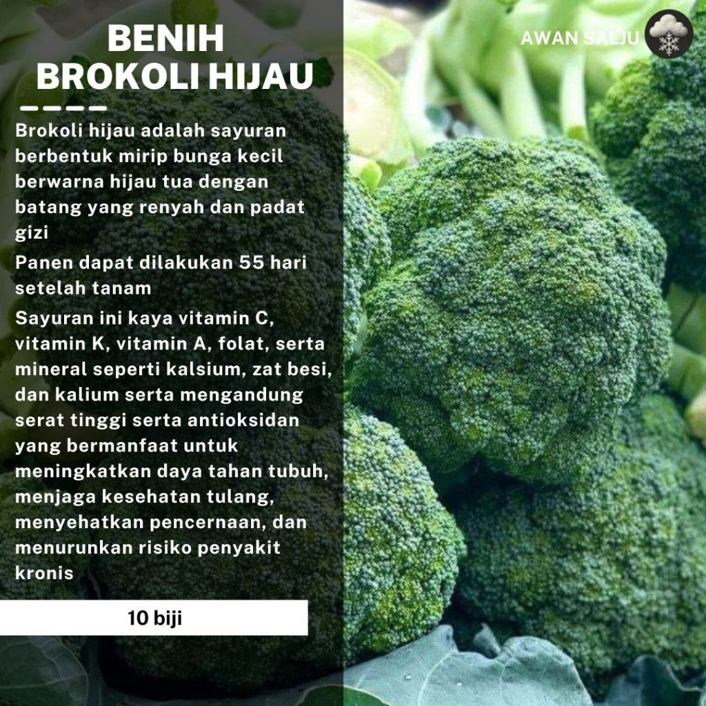 Benih Brokoli Hijau F1 Hibrida Unggul - Bibit Tanaman Sayur Sayuran