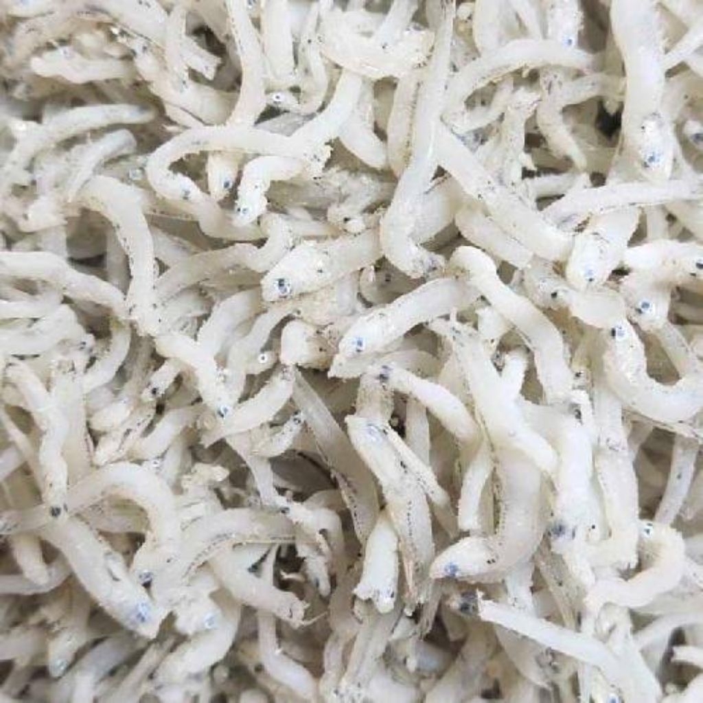 

TERI MEDAN MENTAH ASLI MEDAN