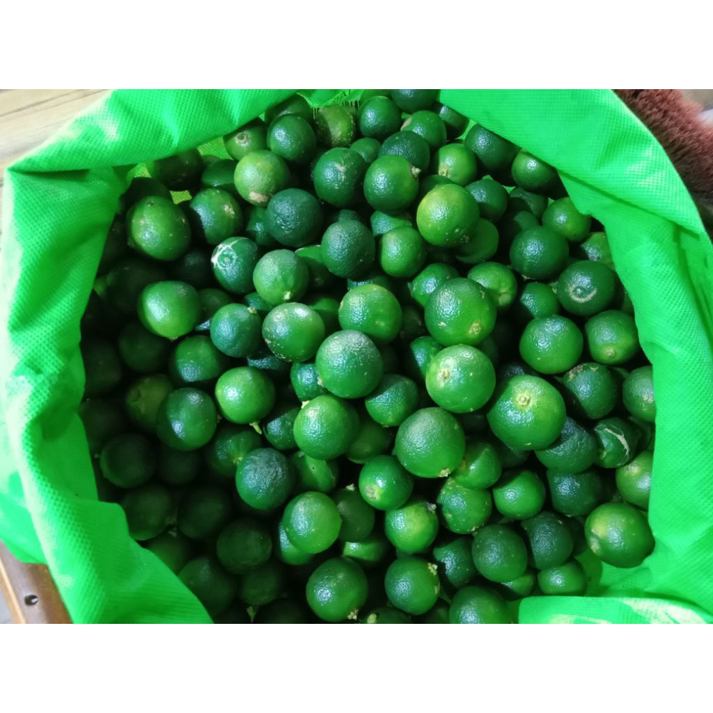 

jeruk sonkit per 1kg