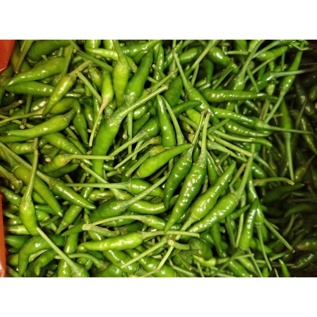 

CABE RAWIT IJO/CABE ACAR 100gr
