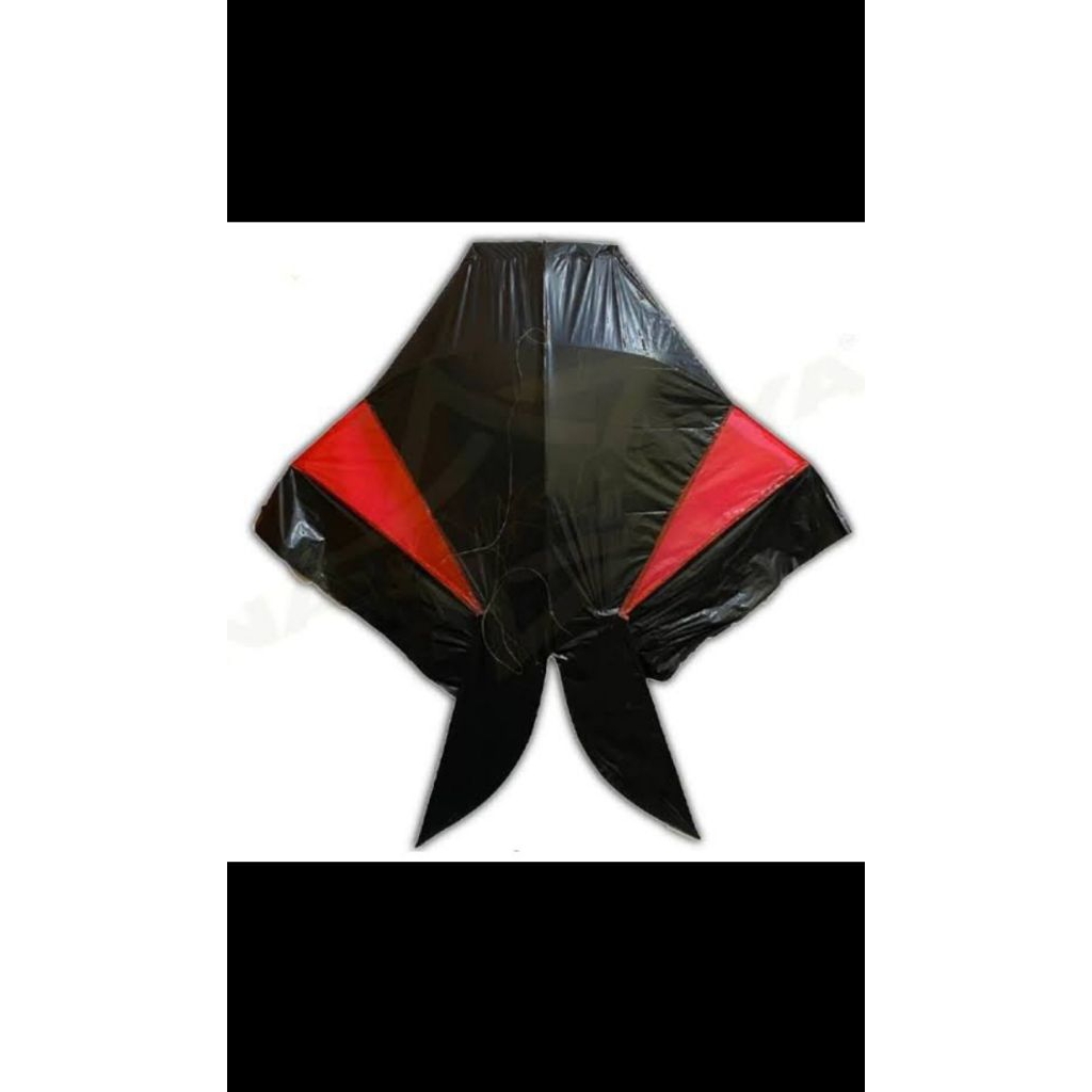 LAYANGAN COTEK BLOLONG