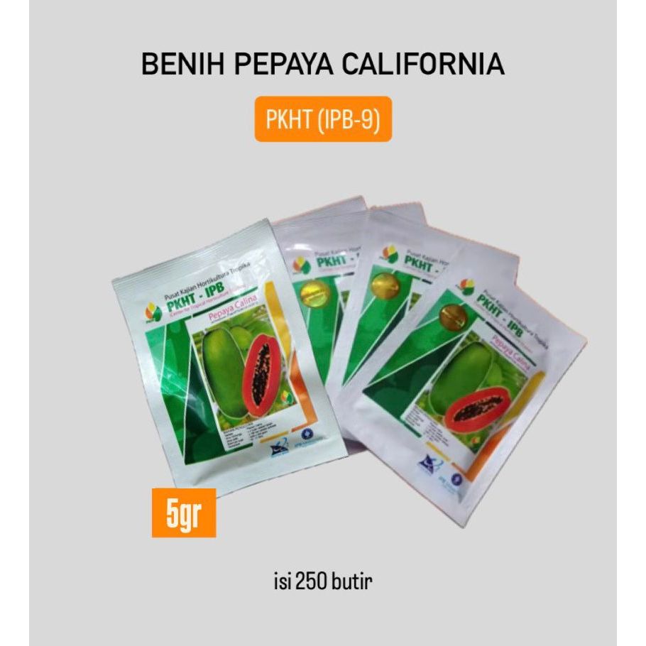 Benih Pepaya Calina California PKHT IPB-9 isi 250 butir