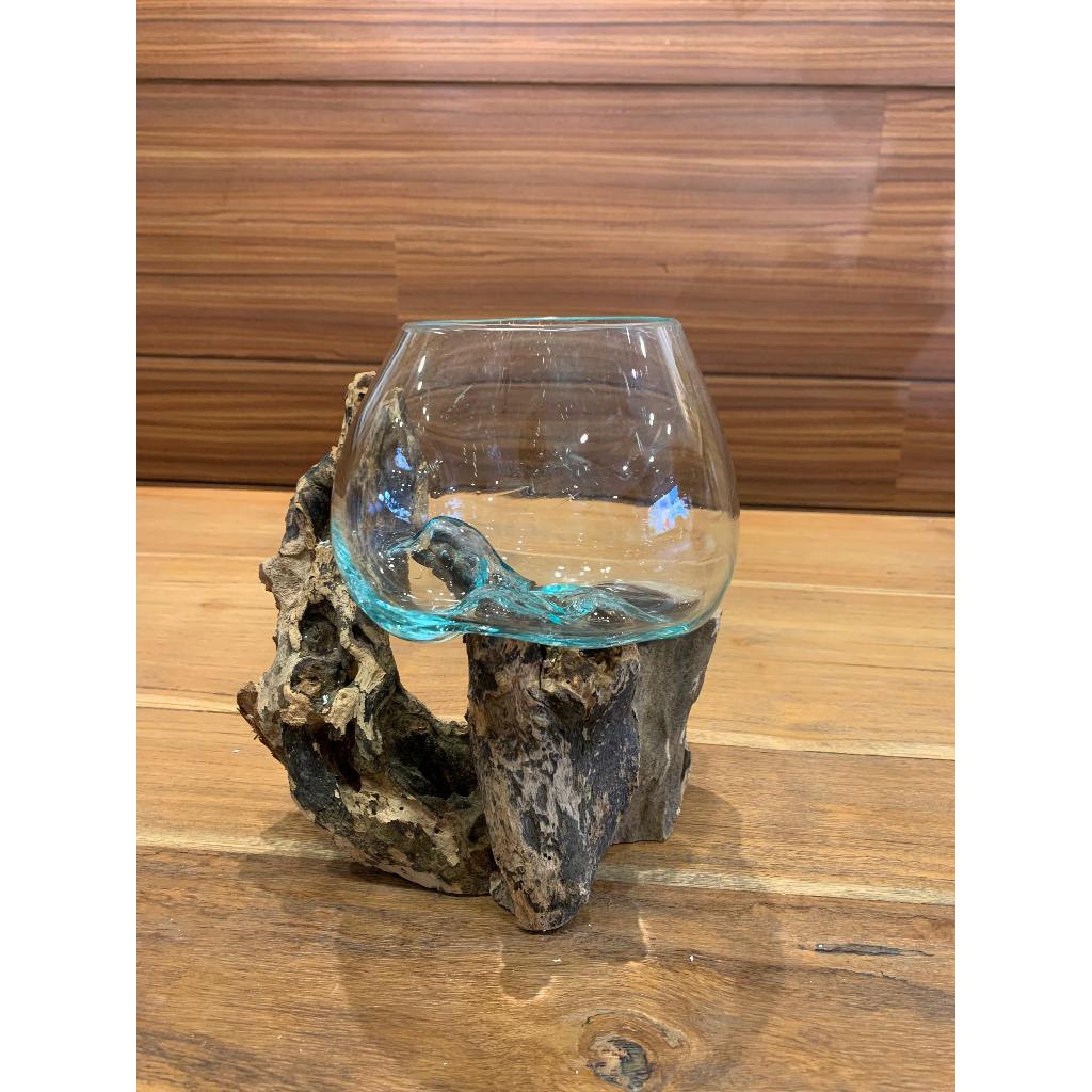 aquarium pot vas mini unik aquarium ikantanaman