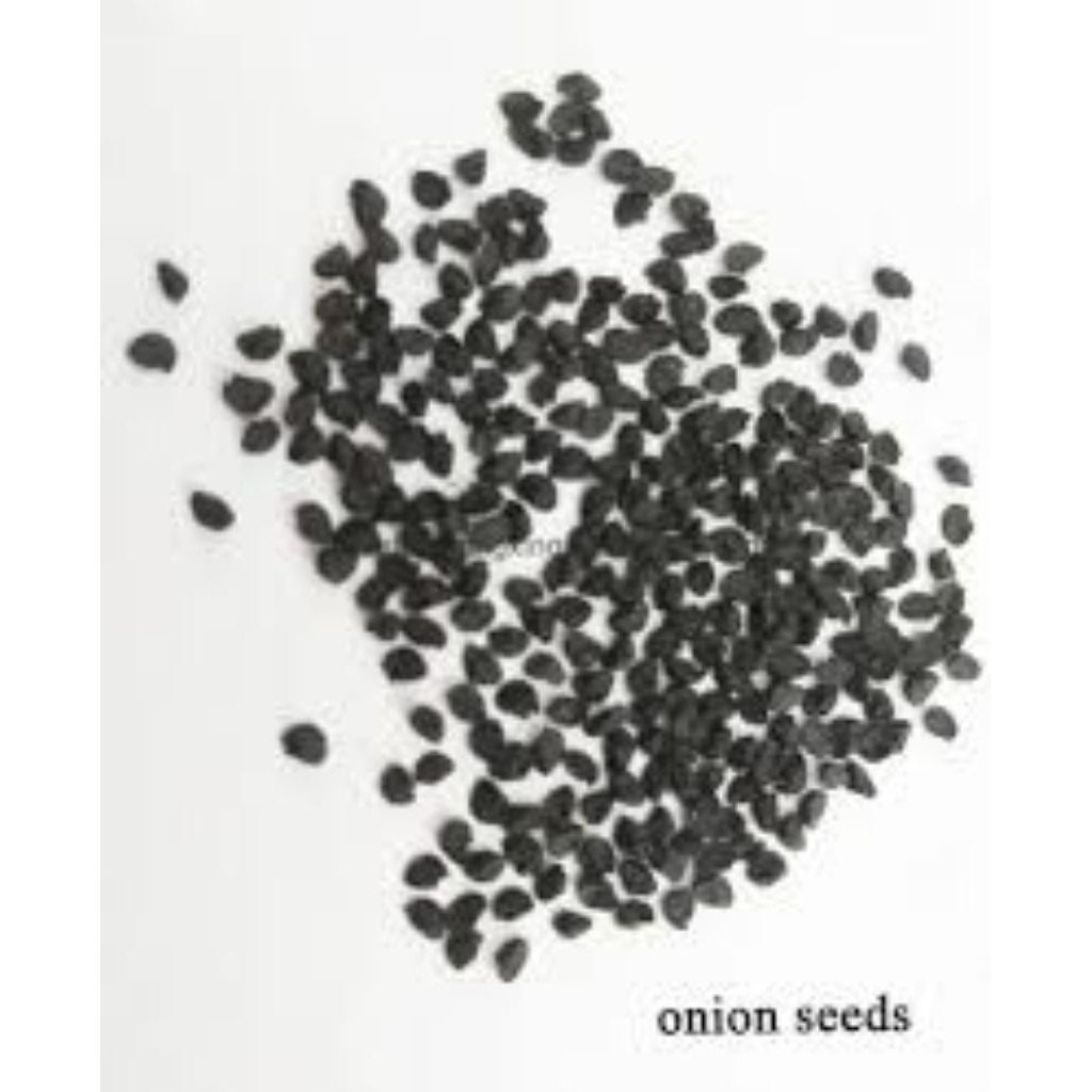 

Benih Bawang Putih Isi 25 Biji untuk Penggunaan Anda