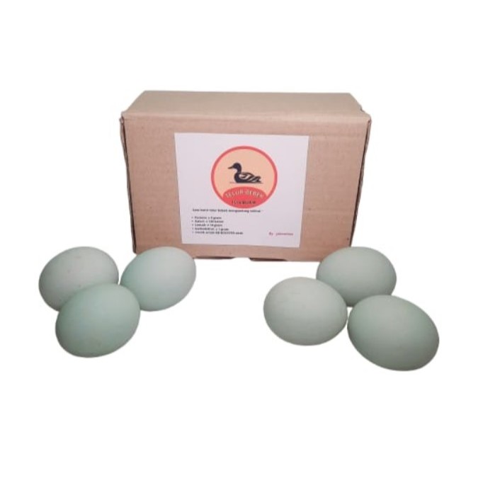 

TELUR BEBEK MENTAH ISI 6 BUTIR TELUR MPASI FRESH SEGAR