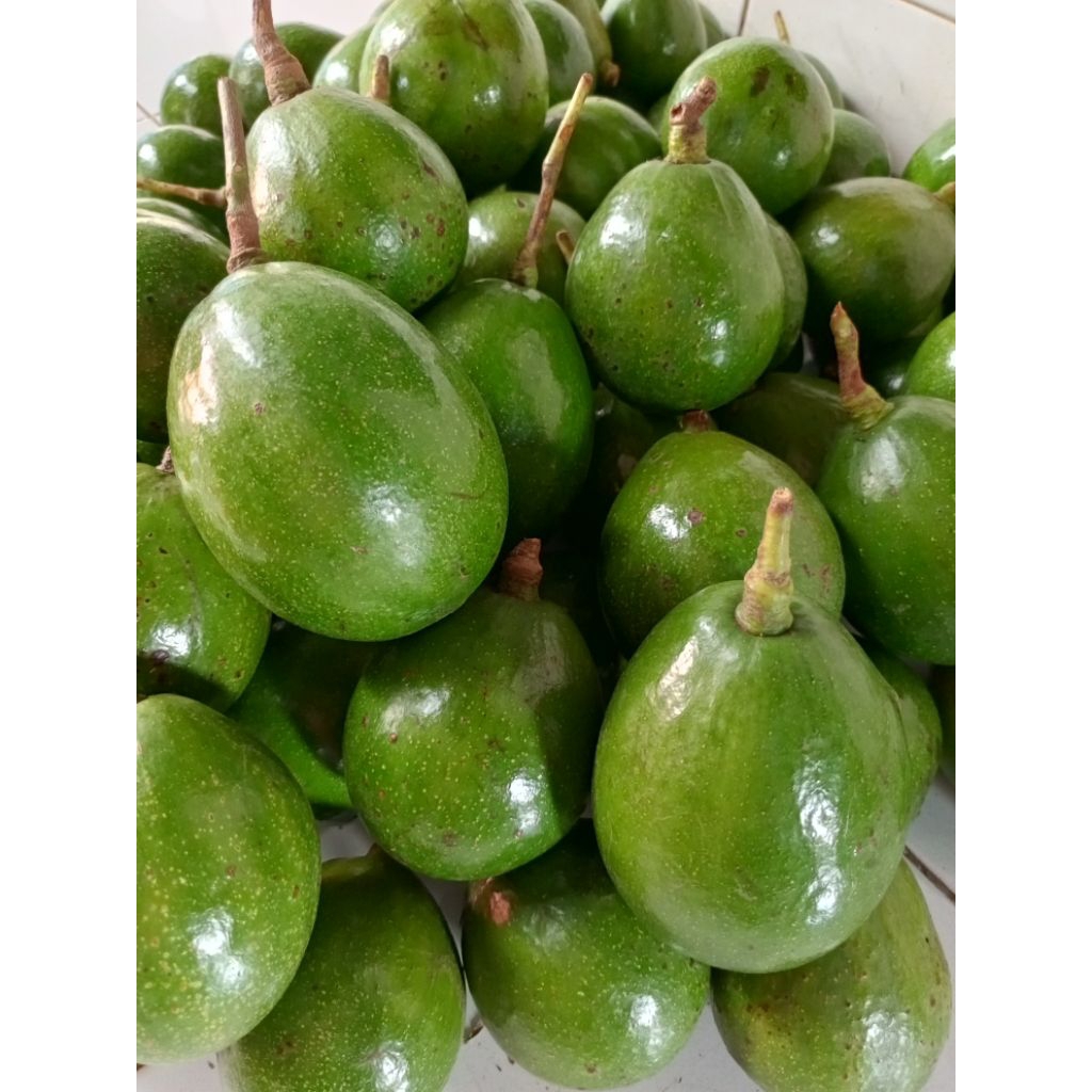 

Alpukat MIKI Khas Garut Legend ORI