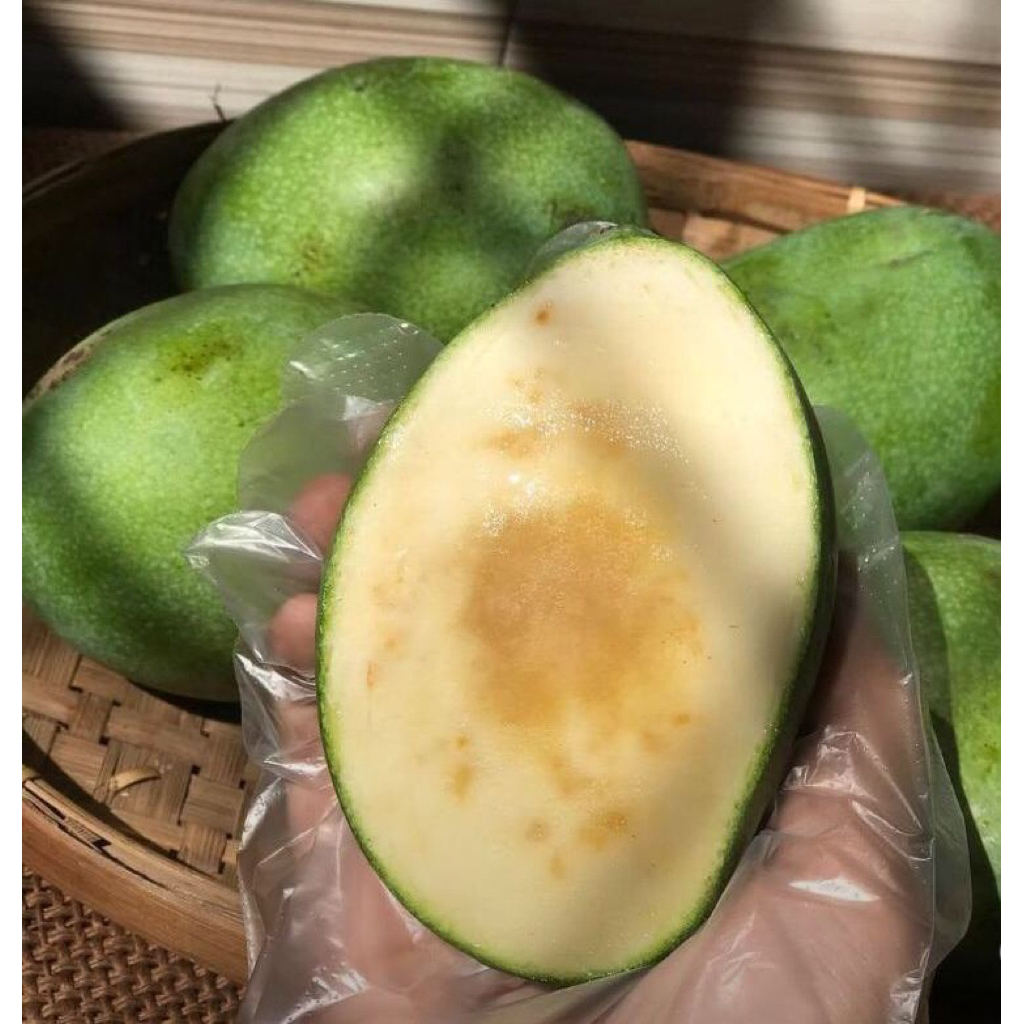 

mangga manalagi madu 1kg