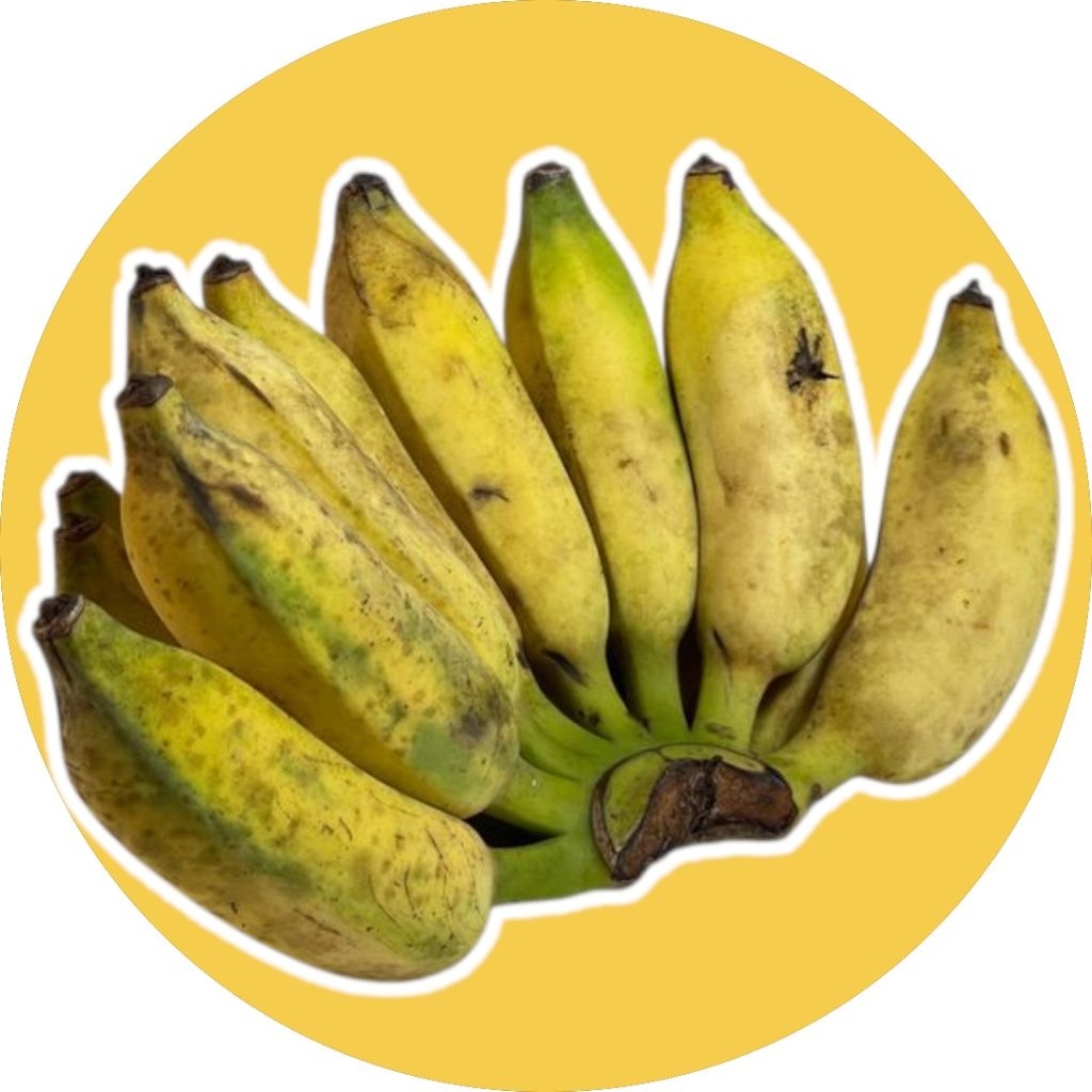 

Pisang siam super [bergaransi]