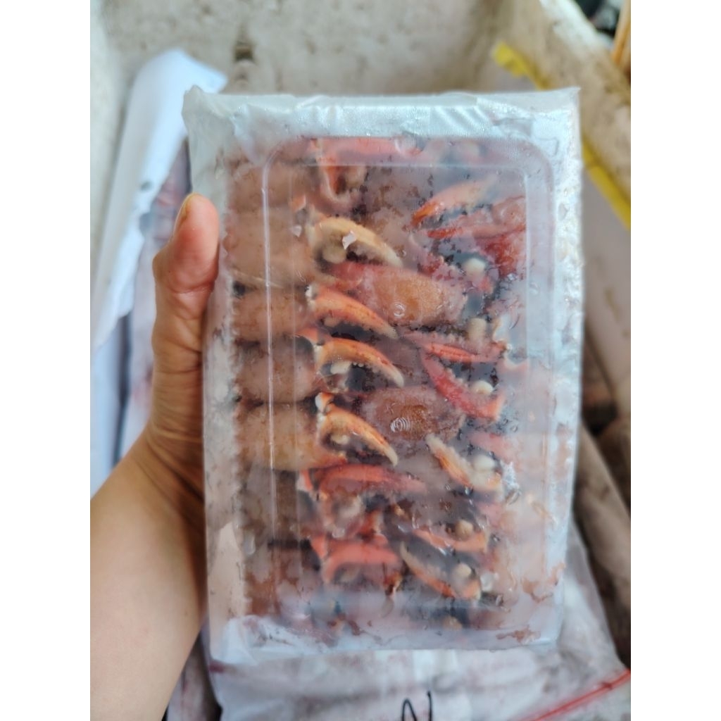 

CAPIT KEPITING KUPAS