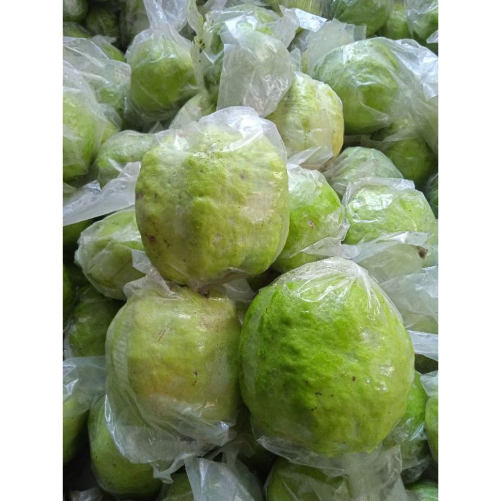 

jambu kristal paket 5kg